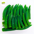 Hot Sell storage Frozen Okra Prices